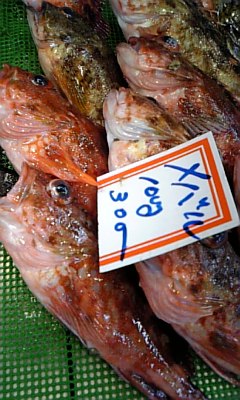 メバル 沖縄で小学校の先生になる B