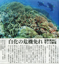 沖縄タイムス 2008/08/03 15:00:00