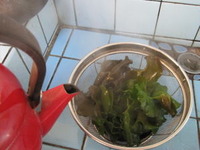 メカブ 2011/03/07 11:56:55