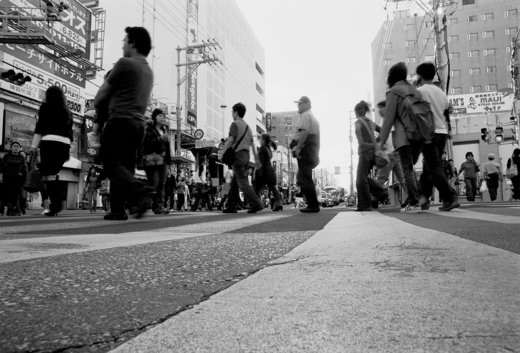 Todays photo39
