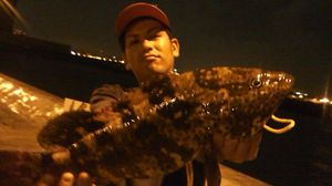 釣果