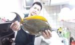 やぁすー