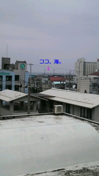 わあーっ 2009/03/09 17:44:53