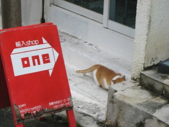 呼び込み　猫　編