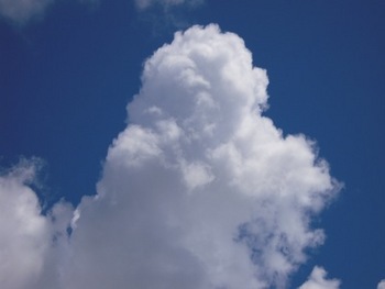 7月夏