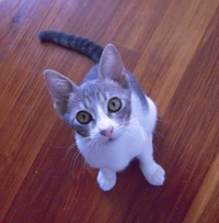 誰でも夢がある 2008/07/21 00:01:57