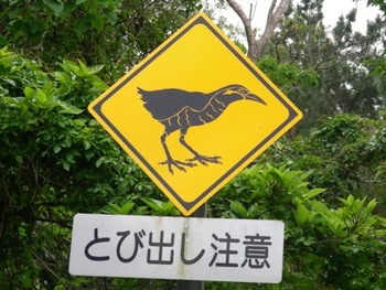 とび出し注意