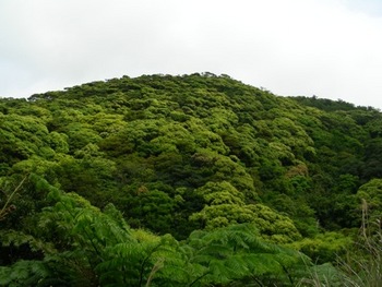 青々と緑深し