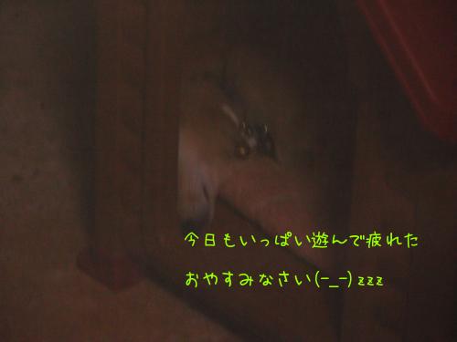 だ～いすき＾＾
