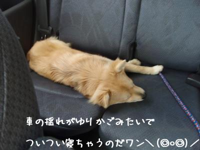 なぜか？！