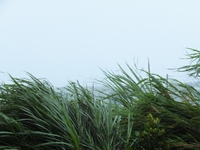 台風１５号通過中！！ 2012/08/26 17:47:01