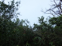台風17号 2012/09/29 12:39:57