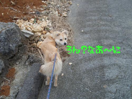 だ～いすき＾＾