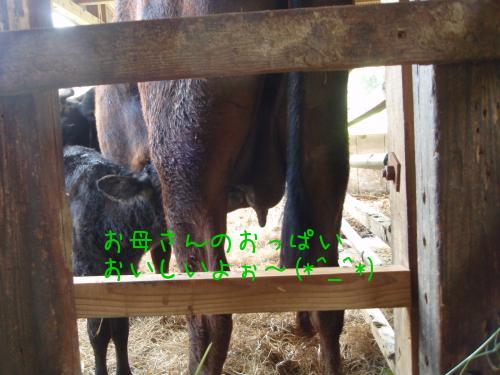 産まれたよぉ～
