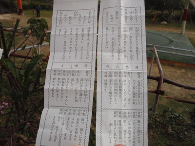 今年初のショット＾＾
