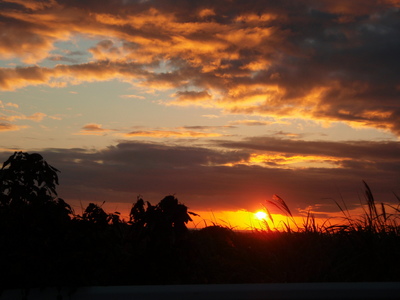 夕日＾＾