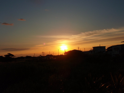 今日も晴れ＾＾