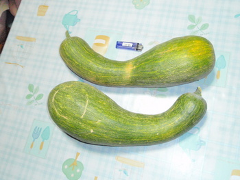 いただき物＾＾