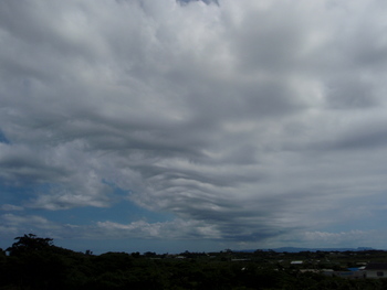 何雲？！