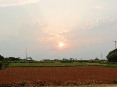 夕日＾＾