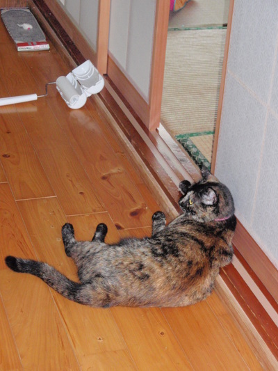 たそがれてます＾＾