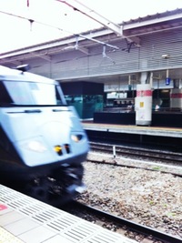 かもめ 2012/10/30 15:18:10