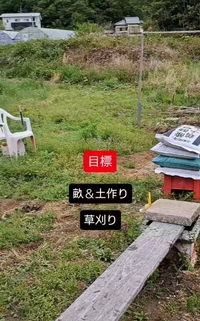 ９０分一本勝負のつもりで休まず畑で動き続けた