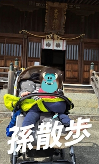 怪獣のような孫もベビーカーに乗るとおとなしい♪