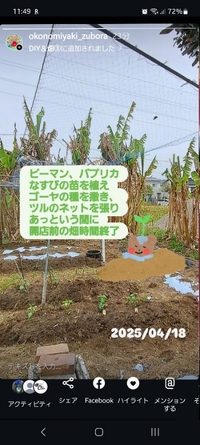 畑日記のはずが、心の声漏れました