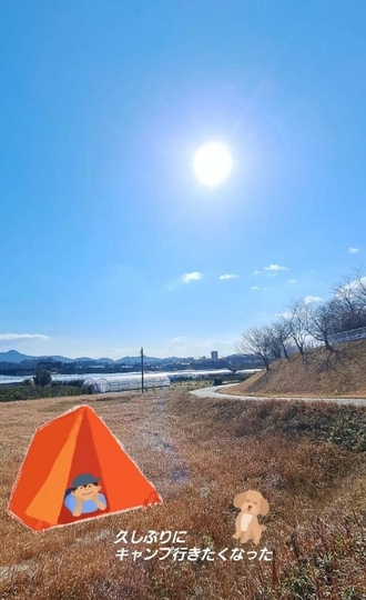 小川に氷が❄