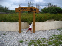 海中公園